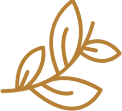 leaves (1)
